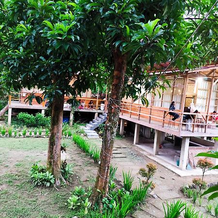 Bua Guesthouse Tangkahan المظهر الخارجي الصورة