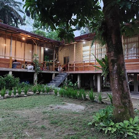 Bua Guesthouse Tangkahan المظهر الخارجي الصورة
