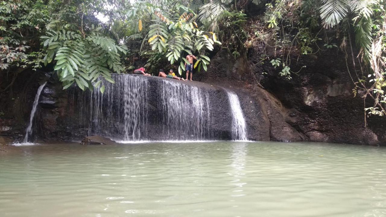 Bua Guesthouse Tangkahan المظهر الخارجي الصورة