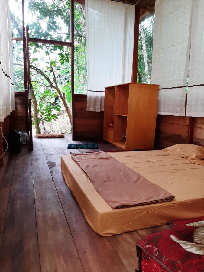 Bua Guesthouse Tangkahan المظهر الخارجي الصورة