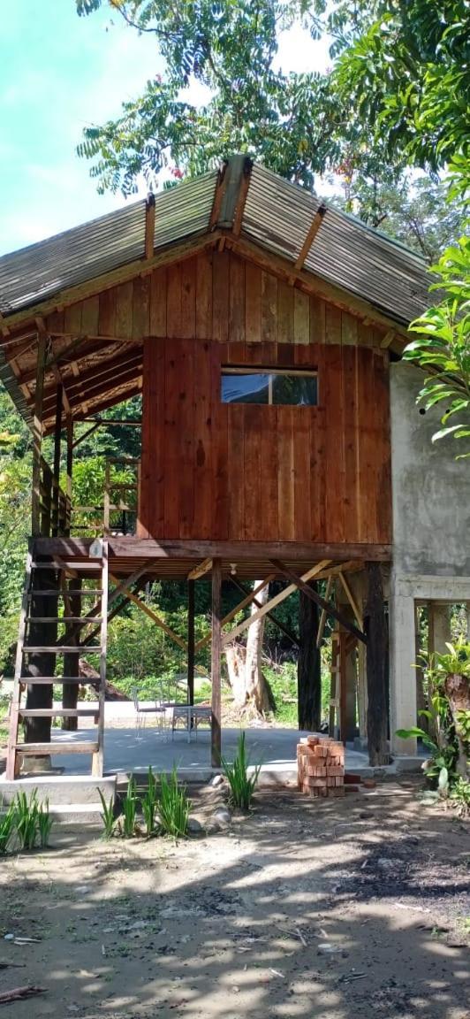 Bua Guesthouse Tangkahan المظهر الخارجي الصورة