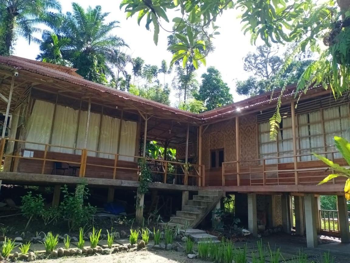 Bua Guesthouse Tangkahan المظهر الخارجي الصورة