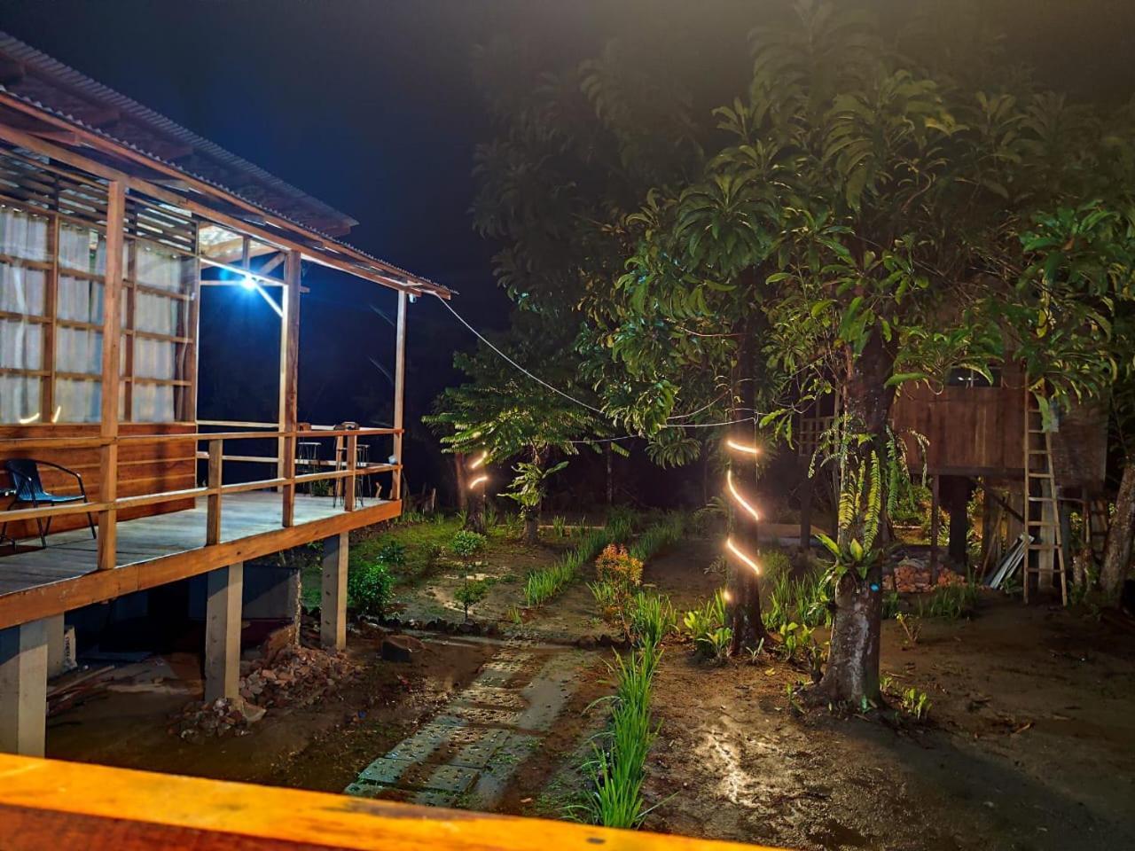 Bua Guesthouse Tangkahan المظهر الخارجي الصورة