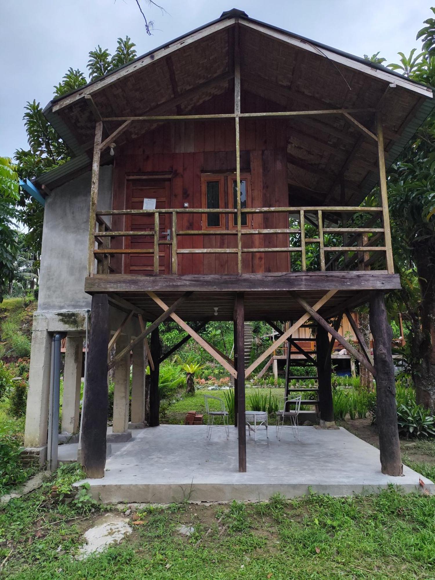 Bua Guesthouse Tangkahan المظهر الخارجي الصورة