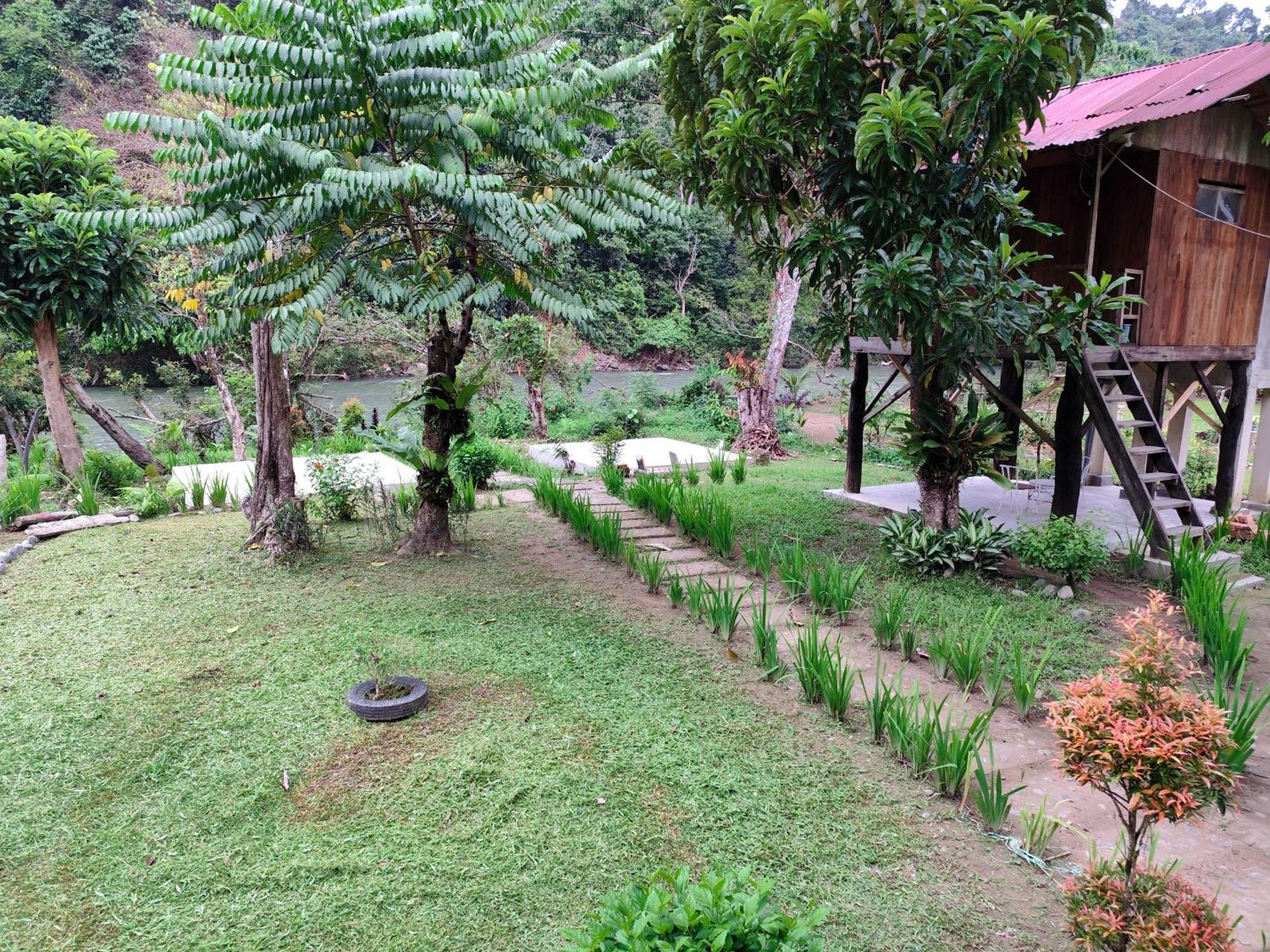 Bua Guesthouse Tangkahan المظهر الخارجي الصورة