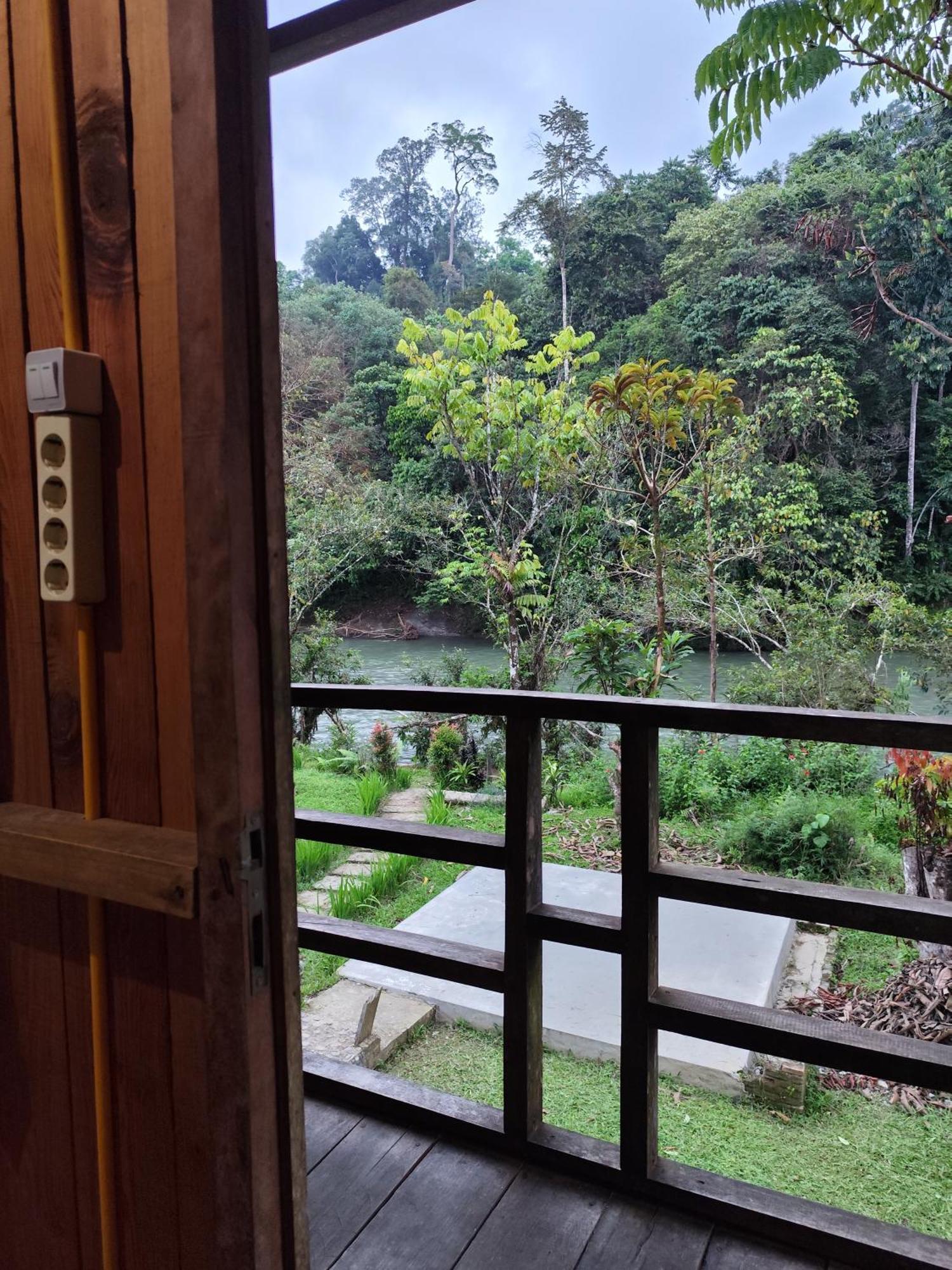 Bua Guesthouse Tangkahan المظهر الخارجي الصورة
