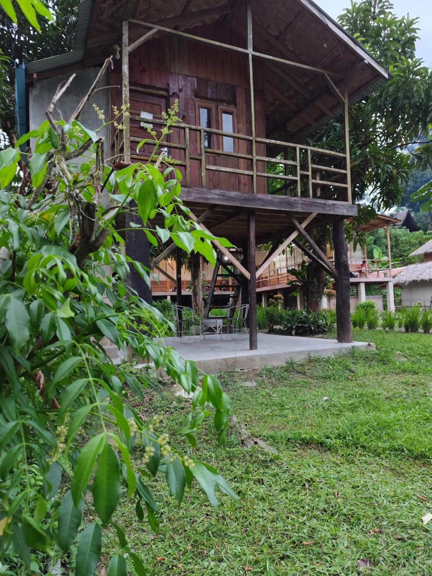 Bua Guesthouse Tangkahan المظهر الخارجي الصورة